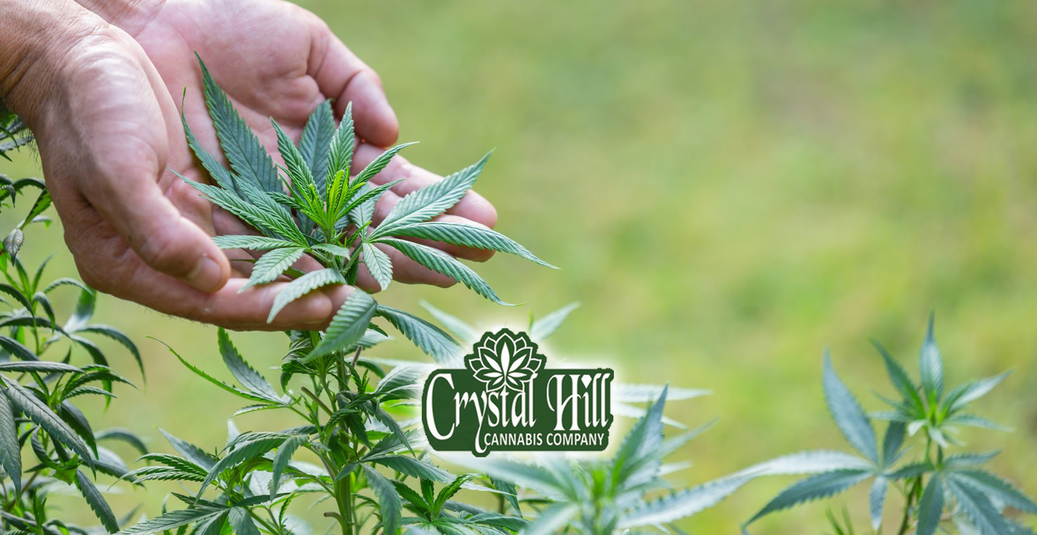 Crystal Hill Cannabis Company